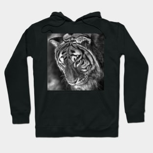 A Shadow Falls Hoodie